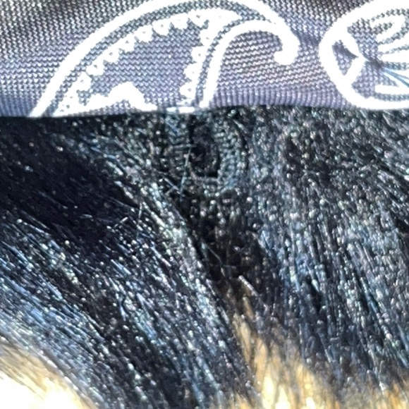 Desigual faux fur collar for coat, jacket, or cardigan. NWOT, in black. - Picture 6 of 11